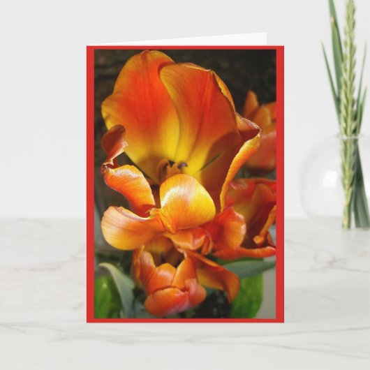 TULIPノートカ空白のード カード (正面)