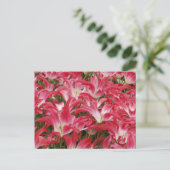 Tulip写真はがき ポストカード (スタンド正面)