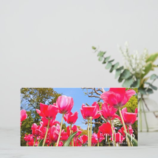 Tulip カード (スタンド正面)