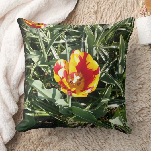 Tulip クッション (ブランケット)