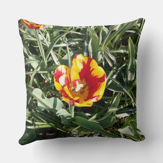 Tulip  クッション (裏面)