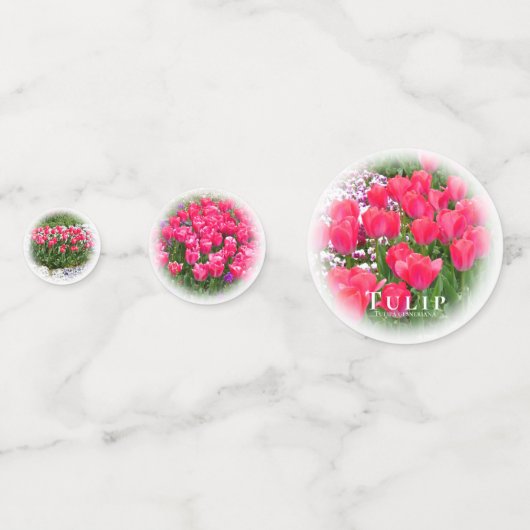 Tulip コンフェッティ (裏面)