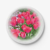 Tulip ペーパープレート (正面)