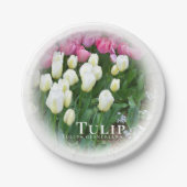 Tulip ペーパープレート (正面)