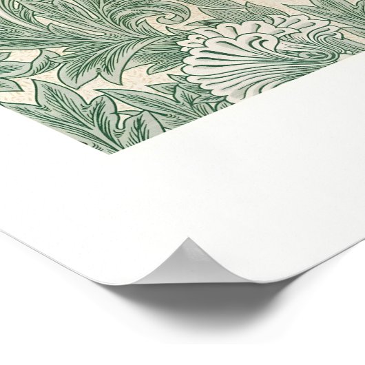 Tulip ポスター (角)