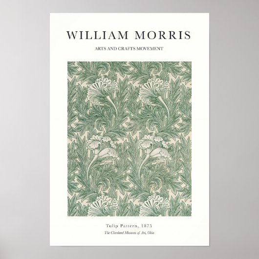 Tulip ポスター (正面)