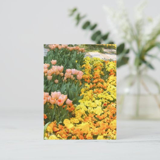Tulip ポストカード (スタンド正面)