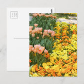 Tulip ポストカード (正面/裏面)