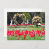 Tulip ポストカード (正面/裏面)