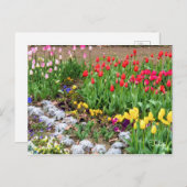 Tulip ポストカード (正面/裏面)