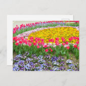 Tulip ポストカード (正面/裏面)