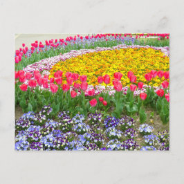 Tulip ポストカード