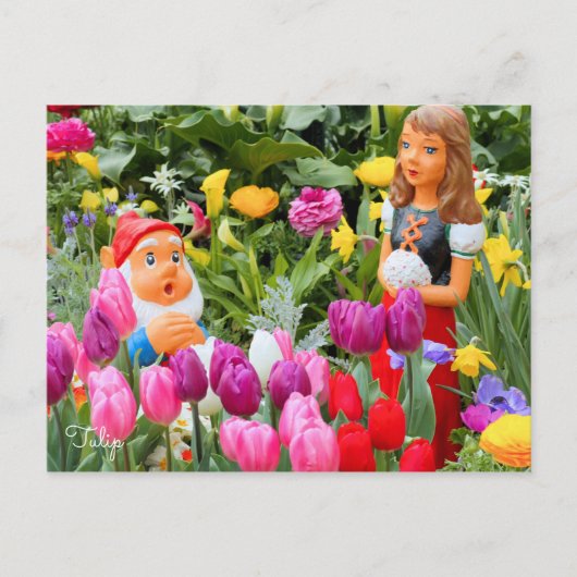 Tulip ポストカード (正面)