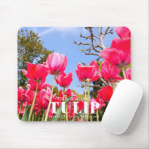 Tulip