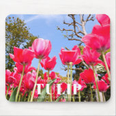 Tulip マウスパッド (正面)