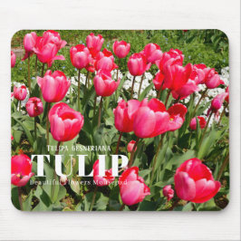 Tulip マウスパッド
