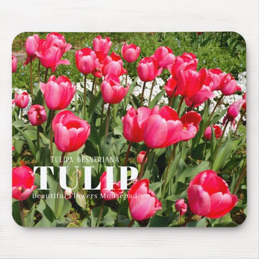 Tulip マウスパッド (正面)