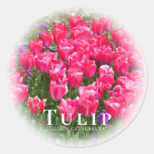 Tulip ラウンドシール (正面)