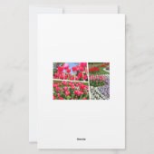 Tulip 便箋 (裏面)