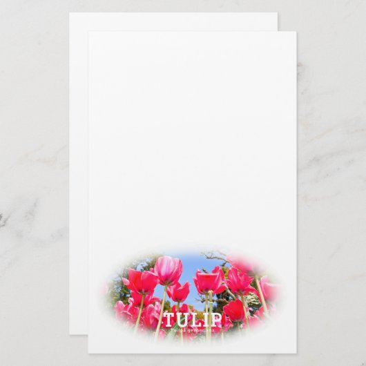 Tulip 便箋 (正面/裏面)