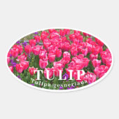 Tulip 楕円形シール (正面)