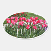 Tulip 楕円形シール (正面)