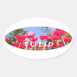 Tulip 楕円形シール