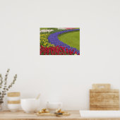 Tulip and Grape Hyacinth and daffodil garden, ポスター (キッチン)