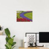 Tulip and Grape Hyacinth and daffodil garden, ポスター (ホームオフィス)