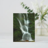 Tulip Creek滝、キャストレガーBC ポストカード (スタンド正面)