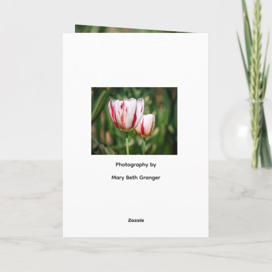 Tulip Delight カード (裏面)