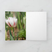 Tulip Delight カード (内部)