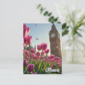 Tulip Festival in Ottawa Canada Travel ポストカード (スタンド正面)