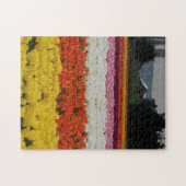 Tulip Fields Puzzle, 11" x 14", 252 pieces ジグソーパズル (横)
