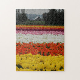 Tulip Fields Puzzle, 11" x 14", 252 pieces ジグソーパズル