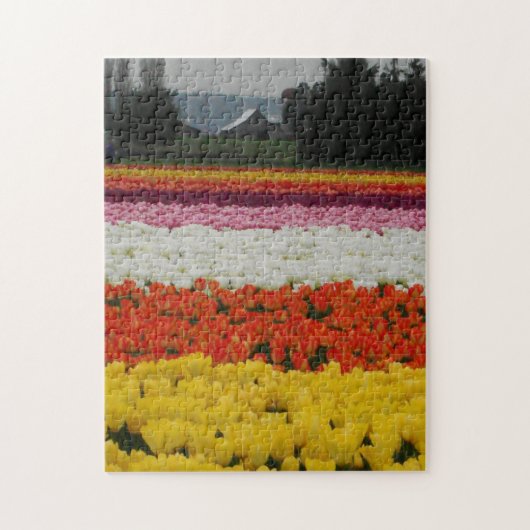 Tulip Fields Puzzle, 11" x 14", 252 pieces ジグソーパズル (縦)