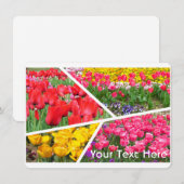 Tulip [Flat Card] (正面/裏面)