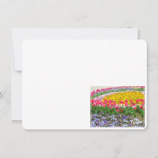 Tulip [Flat Card] (裏面)