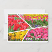 Tulip [Flat Card] (正面)