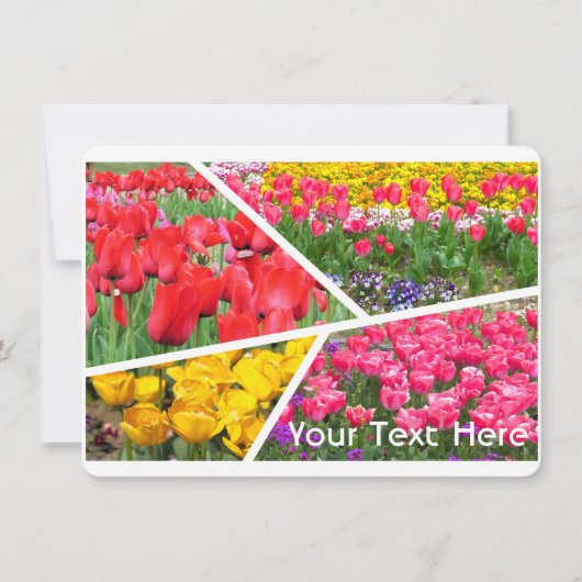 Tulip [Flat Card] (正面)