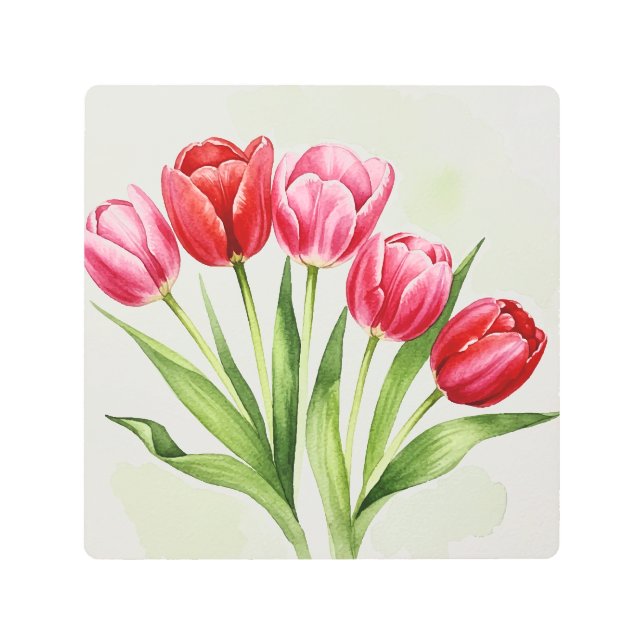 Tulip flowers メタルプリント (正面)
