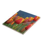 Tulip for Mom タイル (側面)