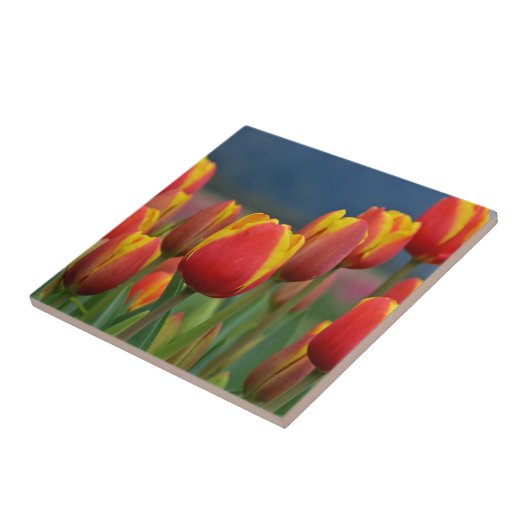 Tulip for Mom タイル (側面)