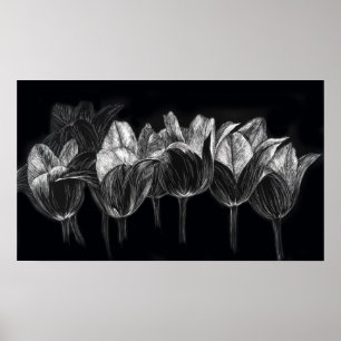 Tulip Garden Black White Scratchboard Art ポスター