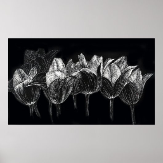 Tulip Garden Black White Scratchboard Art ポスター (正面)