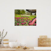 Tulip Garden Through The Dog's Mouth Poster ポスター (キッチン)