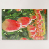 Tulip Heaven ジグソーパズル (横)