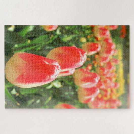 Tulip Heaven ジグソーパズル (横)