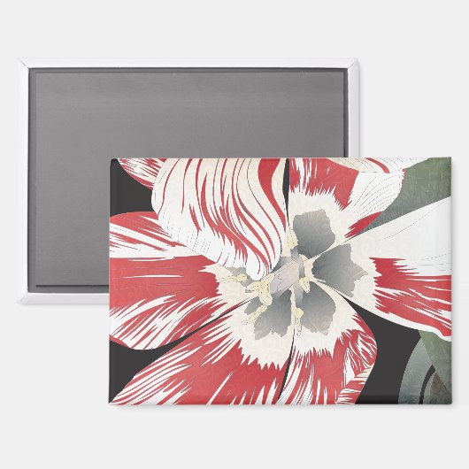 Tulip Magnet マグネット (正面/裏面)