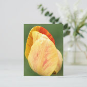 Tulip Petals Flower Photography Personalized ポストカード (スタンド正面)